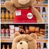 Λούτρινη Φιγούρα Δράσης Ted2-ted