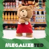 Λούτρινη Φιγούρα Δράσης Ted2-ted